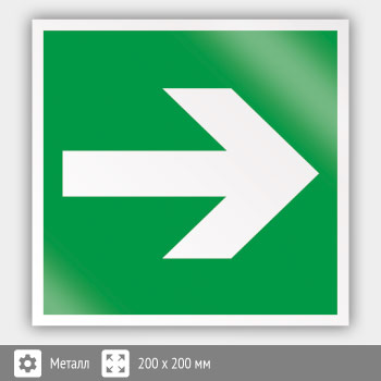 Знак E02-01 «Направляющая стрелка» (металл, 200х200 мм)